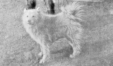 imartcl_RPEDS_picture_02.jpg - 68746 Bytes