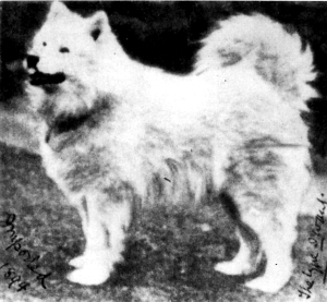 imartcl_RPEDS_picture_04.jpg - 64932 Bytes