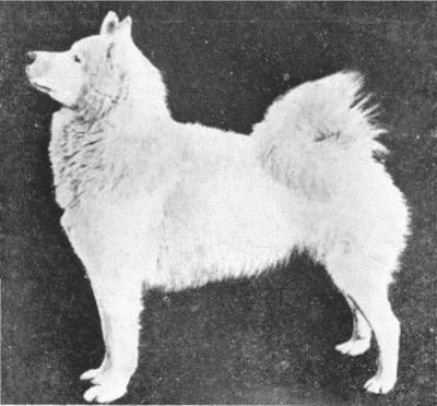 imartcl_RPEDS_picture_06.jpg - 28471 Bytes