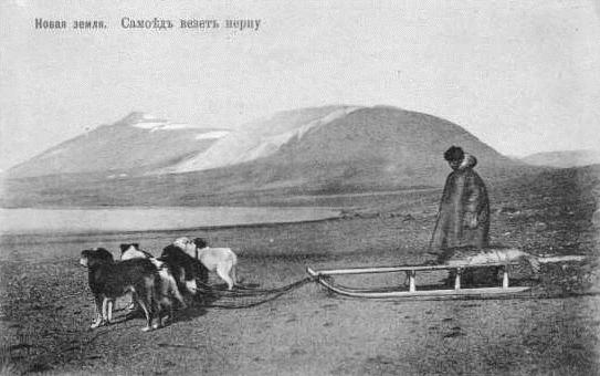 imartcl_RPEDS_picture_07.jpg - 33465 Bytes