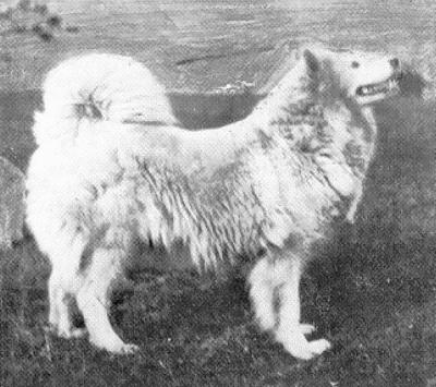 imartcl_RPEDS_picture_08.jpg - 32198 Bytes