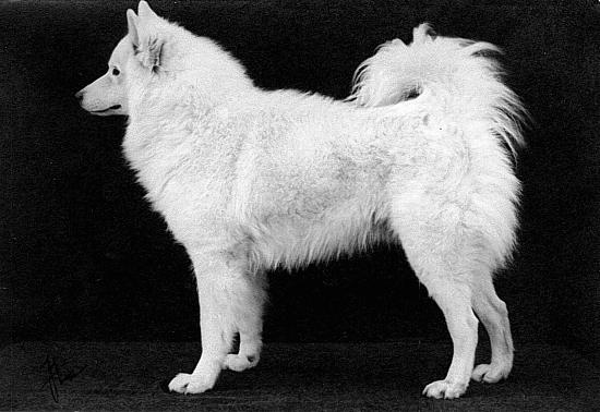 imartcl_RPEDS_picture_09.jpg - 39249 Bytes