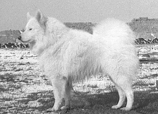 imartcl_RPEDS_picture_15.jpg - 56748 Bytes