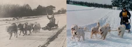 imartcl_RPEDS_picture_16.jpg - 14416 Bytes