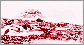 Summer in Franz Joseph Land