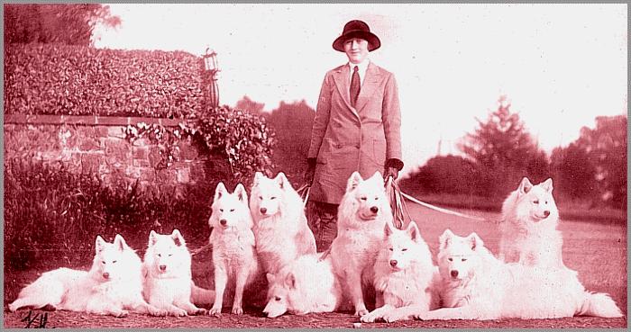 Dogs at Oak Hall
