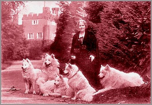 Group of dogs at Oak Hall