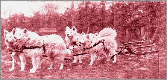 Kosko, Fang, South Pole and Kirche