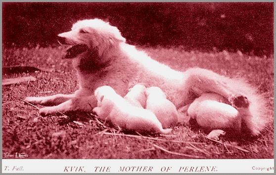 Kvik, the mother of Perlene