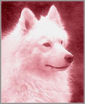 Leader of the Arctic
