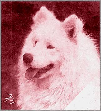 Titan of the Arctic