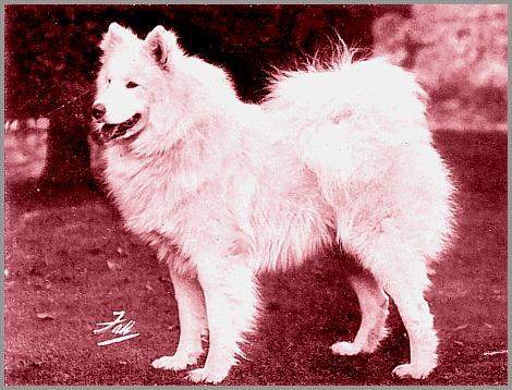 Titan of the Arctic
