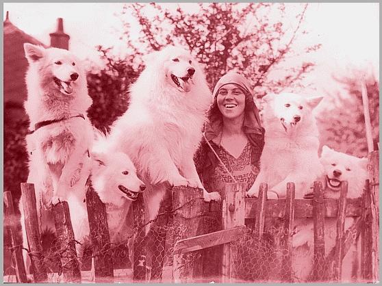 ivy Kilburn Scott and some of her dogs