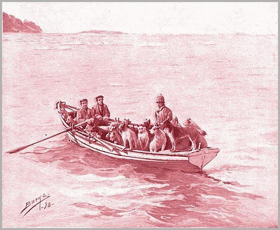 Walter Wellman roeit met zijn honden naar de wal
