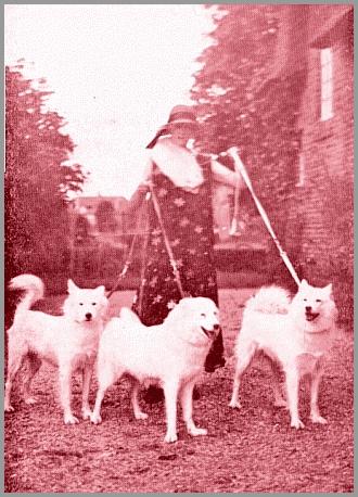Kennel 'Rehoboth'