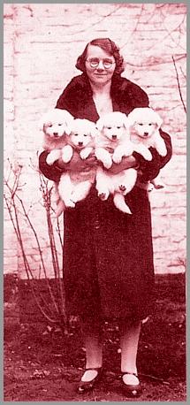 Mevr. E. de Wilde-Reckleben (kennel 'von Reckleben') met puppies